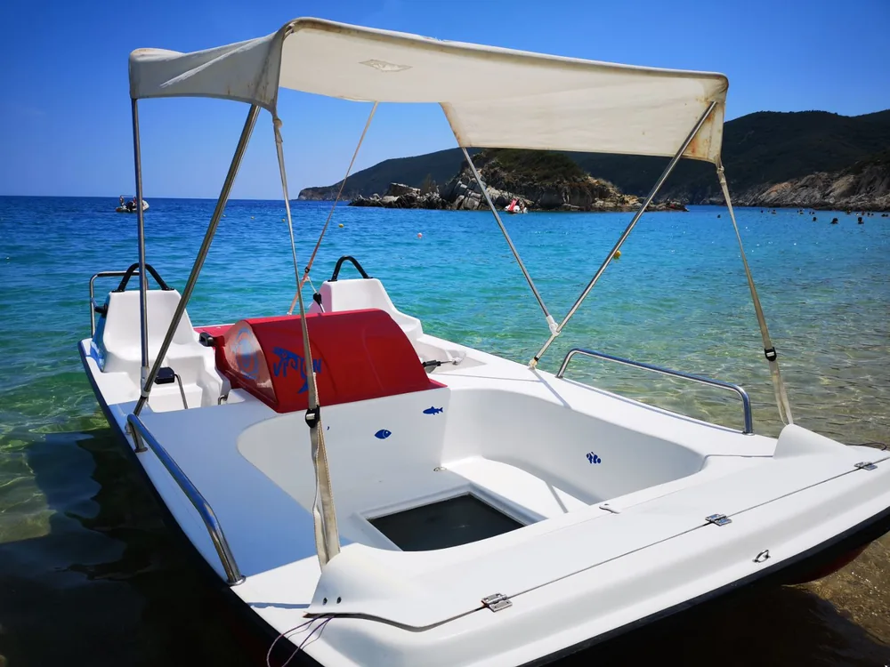 Pedalino Caprivision