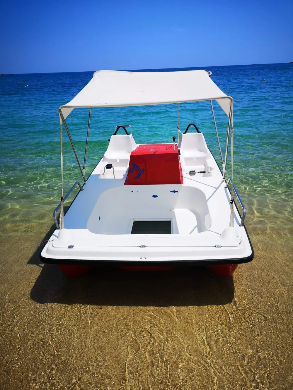 Pedalino Caprivision